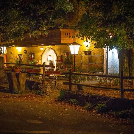 Gasthof Mitteregg Zum Kasnocknwirt Winkl  Dış mekan fotoğraf